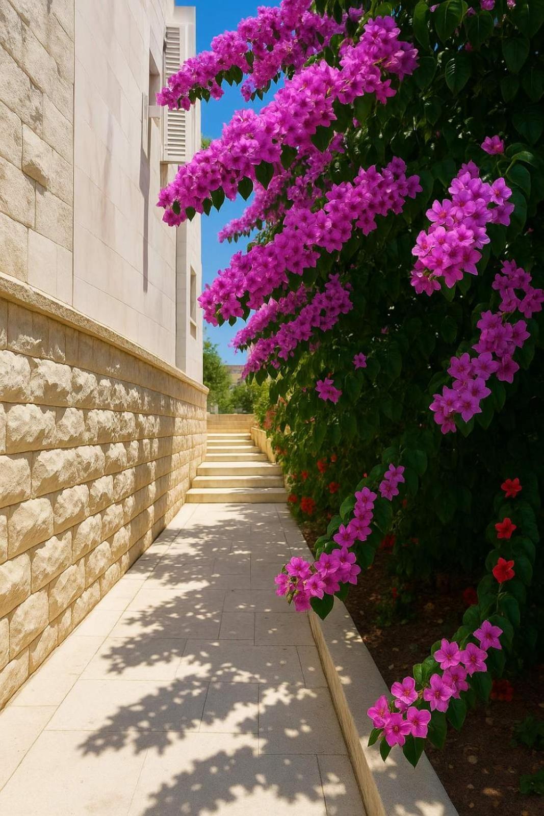 Apartments Villa Mirjana ブドヴァ エクステリア 写真